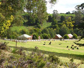 Tin Dragon Trail Cottages - Tourism Listing 0