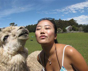 Tin Dragon Trail Cottages - Tourism Listing 4