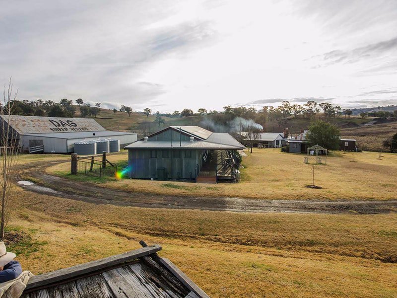 Dag Sheep Station Logo and Images