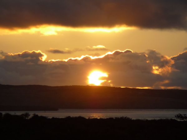 Quandong, Harbor Point Cabins, Venus Bay