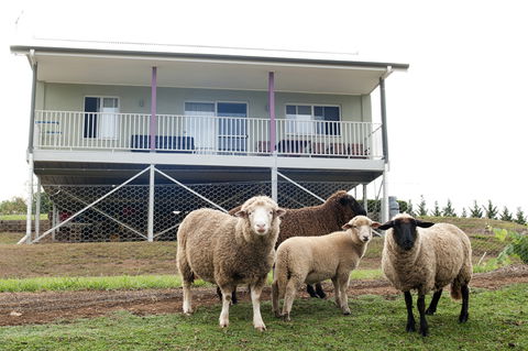 Highfields Country Cottages - Caravan Park Accommodation 15