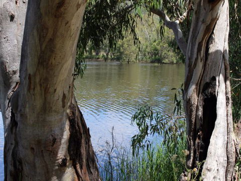 Bumberry Dam - Caravan Park Accommodation 1