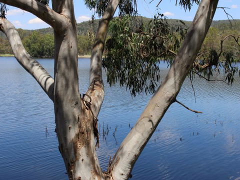 Bumberry Dam - Caravan Park Accommodation 2