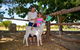 Bullo River Station - thumb 3