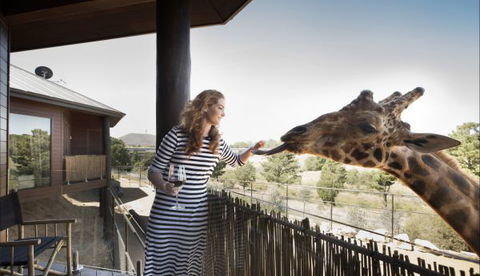 Jamala Wildlife Lodge - Tourism Bookings WA 8