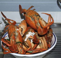 King Ash Bay Lodge - Tourism Listing