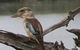 King Ash Bay Lodge - thumb 2