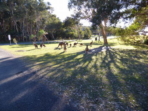 Little Bay Cottage - Caravan Park Accommodation 1