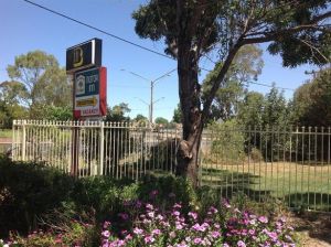 Forest Lodge Motor Inn And Restaurant - Caravan Park Accommodation 0