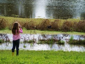 Wilga Hotel - Caravan Park Accommodation 0