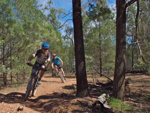 Back Yamma State Forest - Caravan Park Accommodation 0