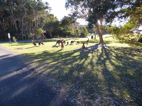Little Bay Cottage - Caravan Park Accommodation 0