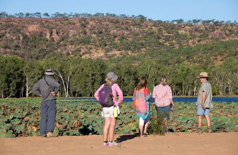 Mount Nancar Wilderness Retreat - Caravan Park Accommodation 5