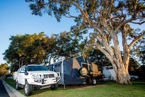 North Coast Holiday Park Scotts Head - Caravan Park Accommodation 7