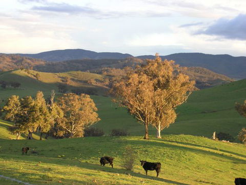Old Bara Farmstay - Caravan Park Accommodation 7