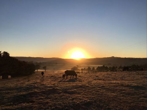 Old Bara Farmstay - Caravan Park Accommodation 8