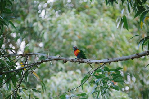 Creel Lodge - Victoria Tourism 14