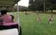 Nelson Bay Golf Club - thumb 0