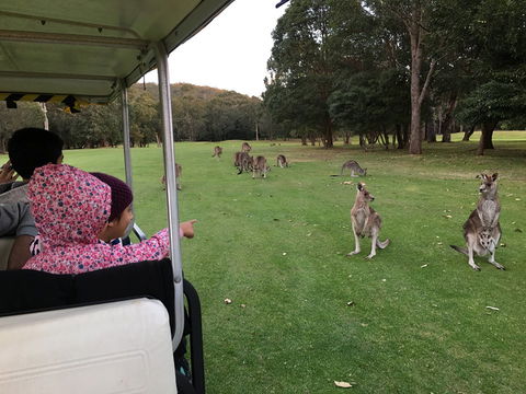Nelson Bay Golf Club - Tourism Listing 0
