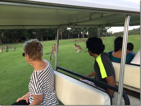 Nelson Bay Golf Club - Tourism Listing 2