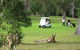 Nelson Bay Golf Club - thumb 6