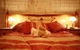 Down To Erth B&B - thumb 1