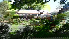 Dumas House Logo and Images