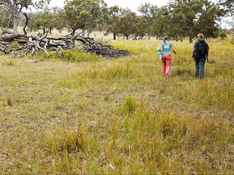 Carnarvon National Park Camping - Victoria Tourism 0