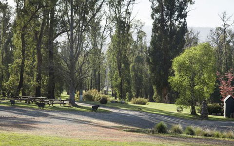 Saladin Lodge - Tourism Listing 5