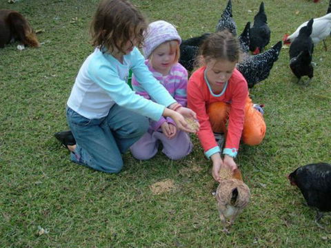 Bower Retreat - Tourism Listing 6