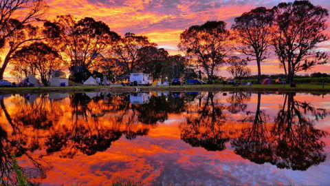Coonawarra Bush Holiday Park - Caravan Park Accommodation 0