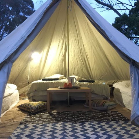 Coonawarra Bush Holiday Park - Caravan Park Accommodation 1