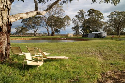 Coonawarra Bush Holiday Park - Caravan Park Accommodation 4