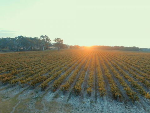Coonawarra Bush Holiday Park - Caravan Park Accommodation 7