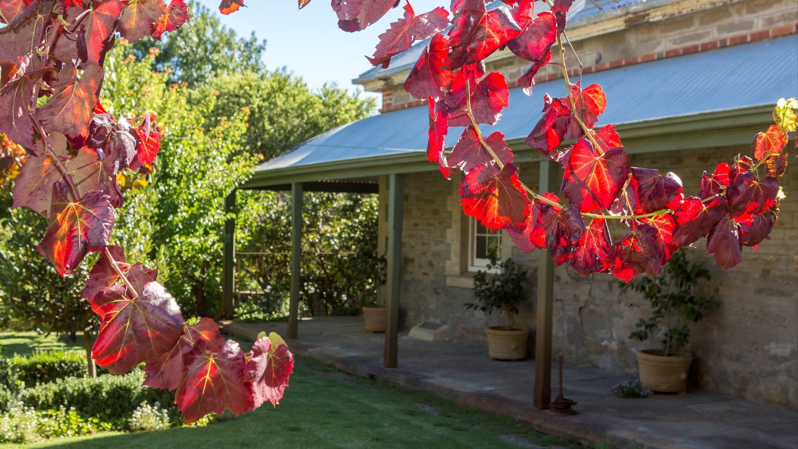 Grand Cru Estate Homestead