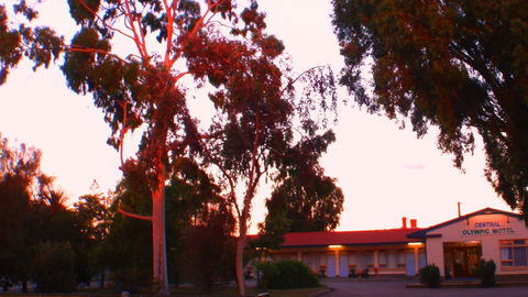 Murray Bridge Central Olympic Motel And Cottages - Tourism Bookings WA 0