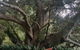 Plynlimmon The Cottage At Kurrajong - thumb 19