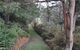 Plynlimmon The Cottage At Kurrajong - thumb 22