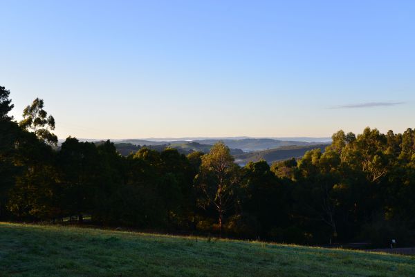 Allambee Reserve VIC Car Rental