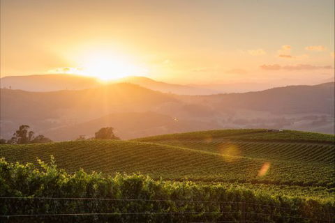 Mt Bellevue Lodge - King Valley - Victoria Tourism 1