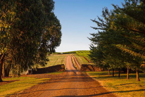 Mt Bellevue Lodge - King Valley - Victoria Tourism 3