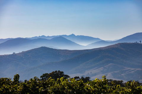 Mt Bellevue Lodge - King Valley - Victoria Tourism 4