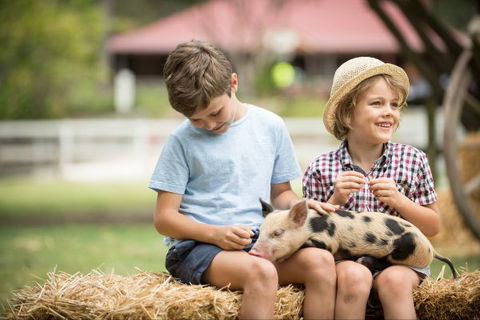 Paradise Country Farmstay - Tourism Bookings WA 8