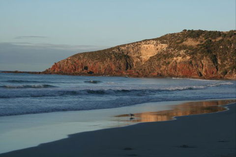 Tammar Ridge - Victoria Tourism 8