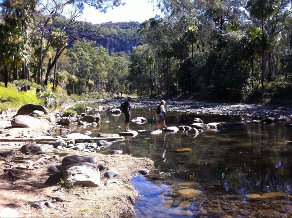 Takarakka Bush Resort Carnarvon Gorge Logo and Images