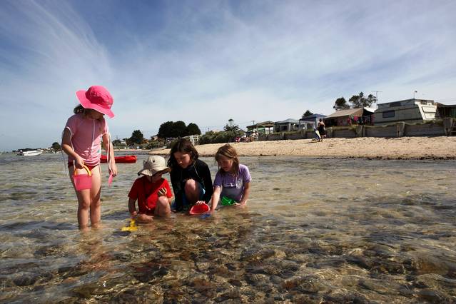 Indented Head VIC Victoria Tourism