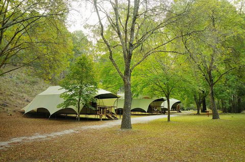 Buchan Caves Reserve - Victoria Tourism 0