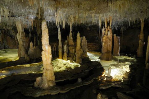 Buchan Caves Reserve - Victoria Tourism 3