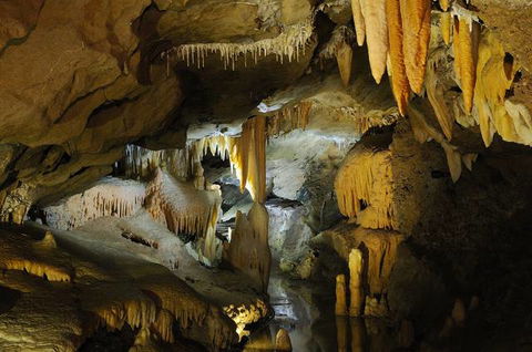 Buchan Caves Reserve - Victoria Tourism 4