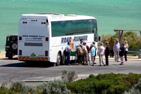 Palmers Leisure Tours - Tourism Listing 0